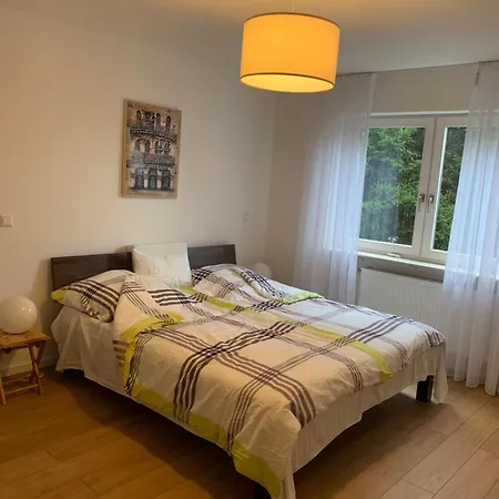 Apartament Helle Gemuetliche Mit 3 Und Terrasse, 80m2 Karlsruhe